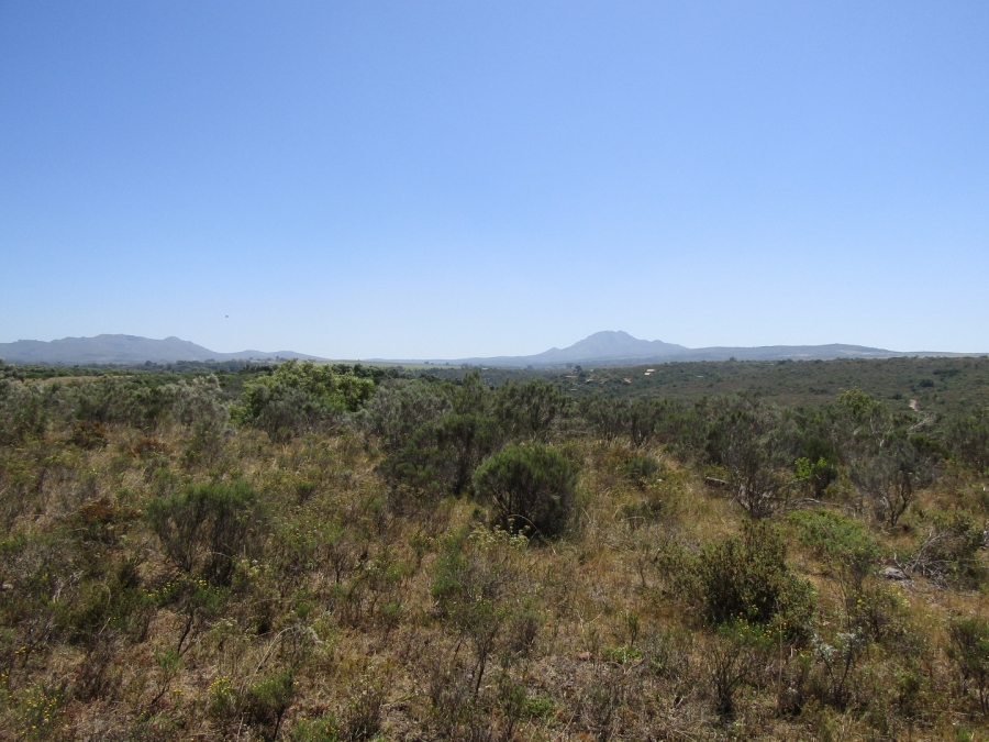 0 Bedroom Property for Sale in Humansdorp Rural Eastern Cape